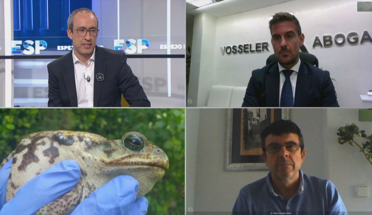 Detenido Nacho Vidal Detenido Nacho Vidal