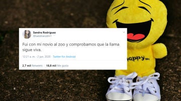 Tuit de @sandrarodrii1