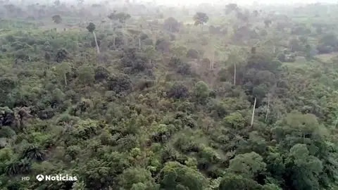 Ecología Ecología