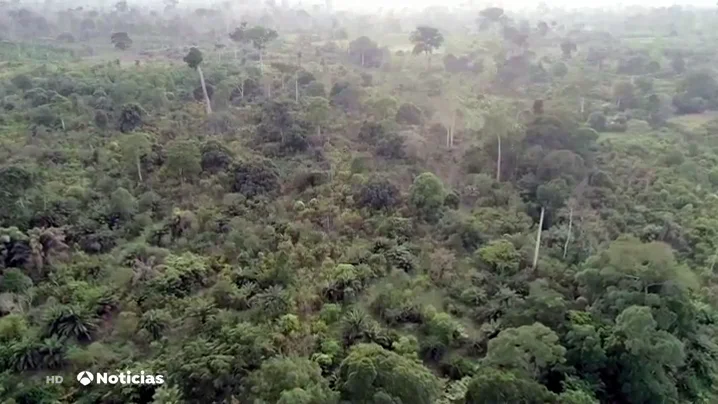 Ecología Ecología