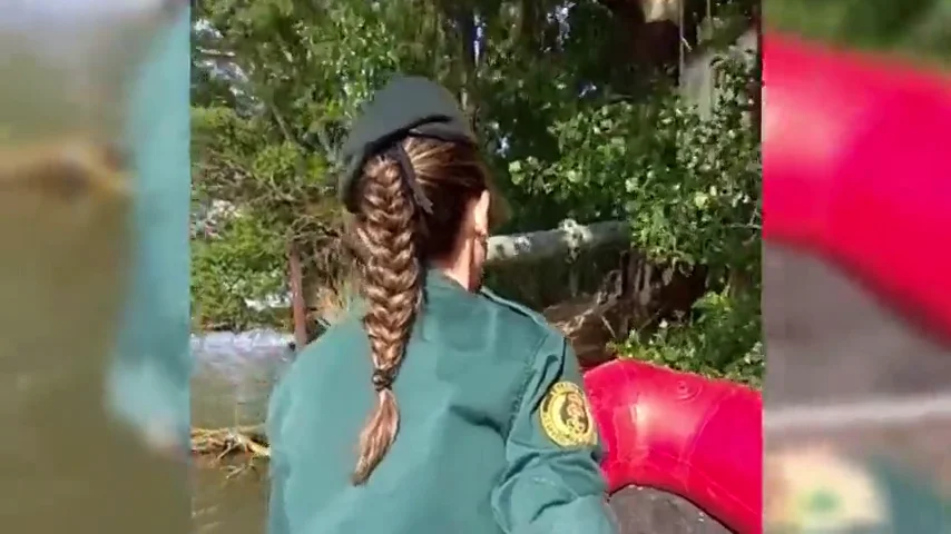 La Policía busca a un cocodrilo que se pasea por Valladolid provocando el pánico entre los vecinos La Policía busca a un cocodrilo que se pasea por Valladolid provocando el pánico entre los vecinos
