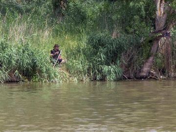 Integrantes del SEPRONA de la Guardia Civil y de la Policía Local de Simancas (Valladolid) continúan con la búsqueda de un cocodrilo avistado en la zona de Pesqueruela 