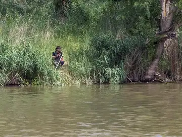 Integrantes del SEPRONA de la Guardia Civil y de la Policía Local de Simancas (Valladolid) continúan con la búsqueda de un cocodrilo avistado en la zona de Pesqueruela Integrantes del SEPRONA de la Guardia Civil y de la Policía Local de Simancas (Valladolid) continúan con la búsqueda de un cocodrilo avistado en la zona de Pesqueruela