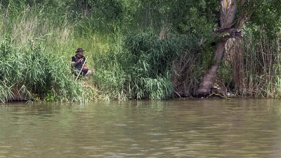 Integrantes del SEPRONA de la Guardia Civil y de la Policía Local de Simancas (Valladolid) continúan con la búsqueda de un cocodrilo avistado en la zona de Pesqueruela Integrantes del SEPRONA de la Guardia Civil y de la Policía Local de Simancas (Valladolid) continúan con la búsqueda de un cocodrilo avistado en la zona de Pesqueruela