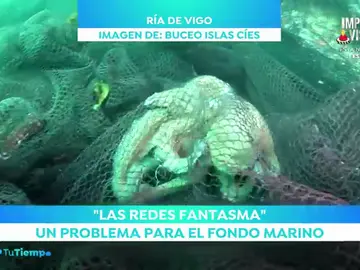 El fondo marino El fondo marino