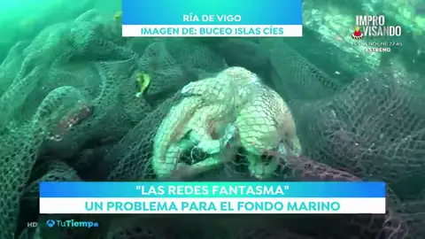 El fondo marino oceanos