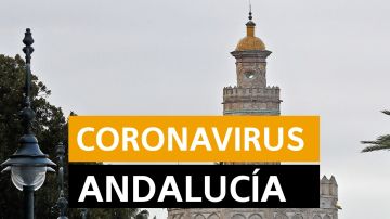 Última hora Andalucía: Últimas noticias del coronavirus en Andalucía y datos de muertos y contagios hoy, lunes 8 de junio, en directo