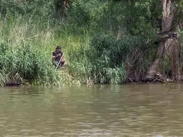 Un hombre cae al Pisuerga donde buscan a un cocodrilo desde hace días Un hombre cae al Pisuerga donde buscan a un cocodrilo desde hace días