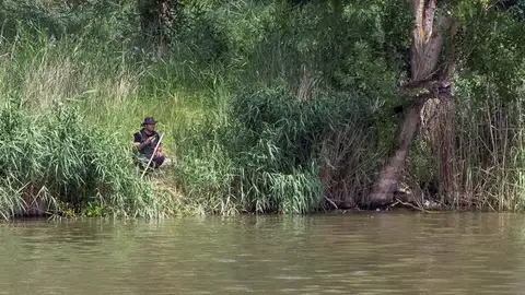 Un hombre cae al Pisuerga donde buscan a un cocodrilo desde hace días Búsqueda de un cocodrilo en Simancas