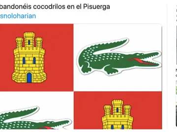 Memes deLos mejores memes del cocodrilo del río Pisuerga de Valladolid Memes deLos mejores memes del cocodrilo del río Pisuerga de Valladolid