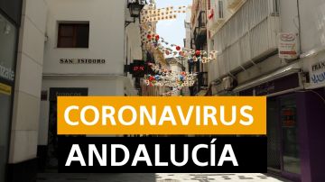 Coronavirus Andalucía: Desescalada, nueva normalidad y última hora de hoy miércoles 10 de junio, en directo | Última hora Andalucía