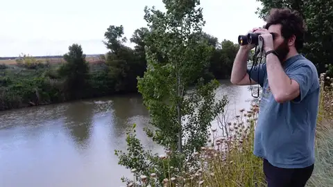 Búsqueda de un cocodrilo en el río Pisuerga Búsqueda de un cocodrilo en el río Pisuerga