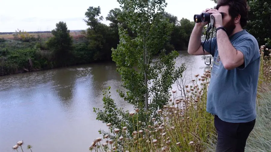 Búsqueda de un cocodrilo en el río Pisuerga Búsqueda de un cocodrilo en el río Pisuerga