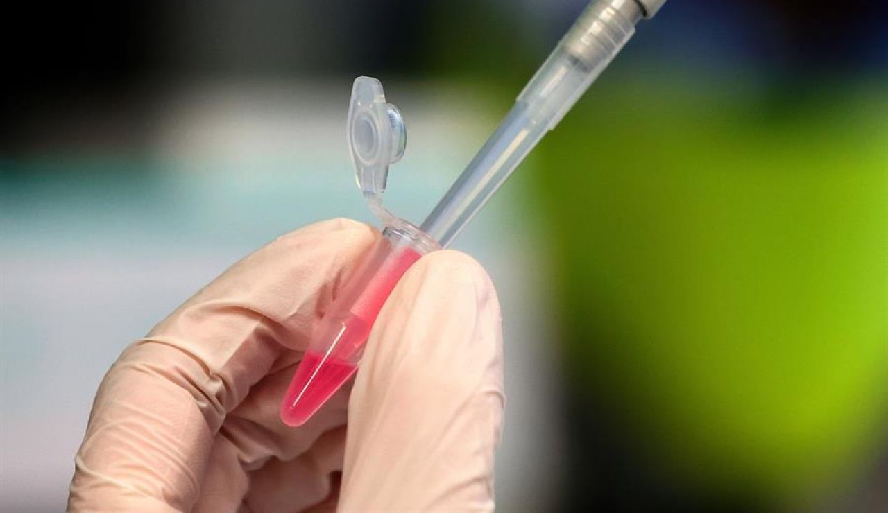 España participa en la estrategia de la UE por conseguir una vacuna para el coronavirus España participa en la estrategia de la UE por conseguir una vacuna para el coronavirus