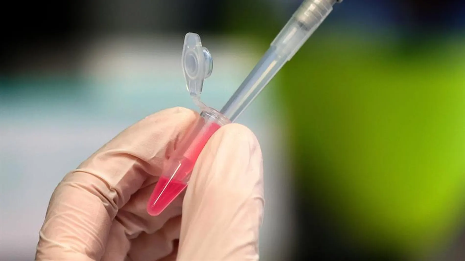 Test de coronavirus. Test de coronavirus.