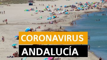 Coronavirus Andalucía: Rebrotes, datos de muertos y contagios y noticias de última hora hoy 30 de junio, en directo