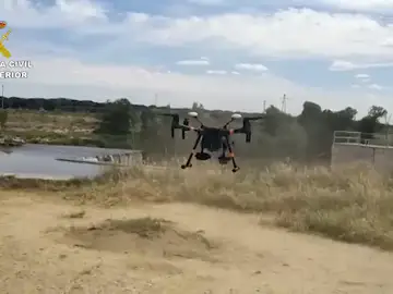 Finaliza, sin rastro, la búsqueda del supuesto cocodrilo en el río Duero y Pisuerga Finaliza, sin rastro, la búsqueda del supuesto cocodrilo en el río Duero y Pisuerga