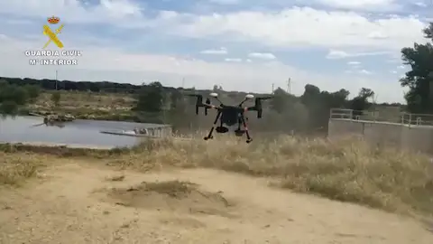 Finaliza, sin rastro, la búsqueda del supuesto cocodrilo en el río Duero y Pisuerga Finaliza, sin rastro, la búsqueda del supuesto cocodrilo en el río Duero y Pisuerga