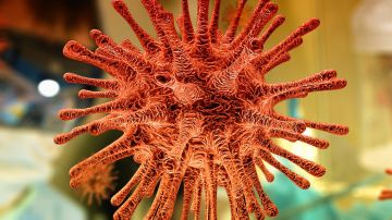 Un estudio de aguas residuales encuentra restos de coronavirus en diciembre de 2019