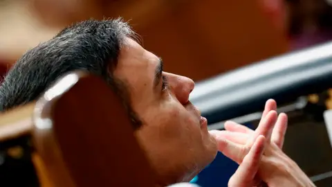 Pedro Sánchez en el Congreso de los Diputados Pedro Sánchez en el Congreso de los Diputados