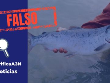 Los peces no trasmiten el coronavirus