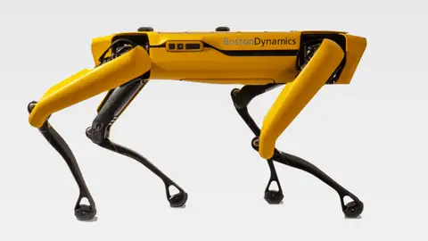 Boston Dynamics Boston Dynamics