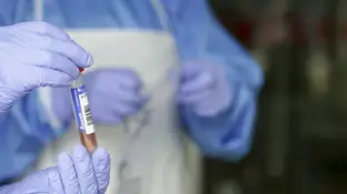 Coronavirus Coronavirus