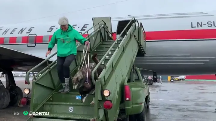 El incre&iacute;ble viaje de vuelta a Noruega de Thomas Waerner y sus 28 perros de trineo en un avi&oacute;n hist&oacute;rico