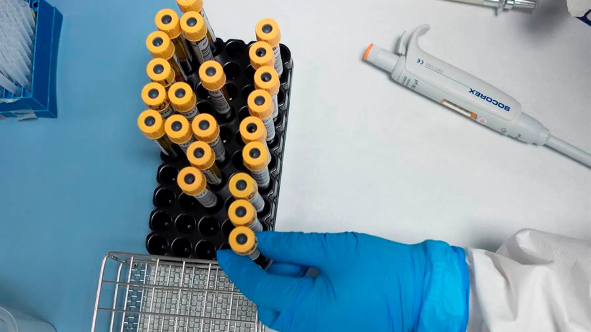 Suspendido ensayo hidroxicloroquina Suspendido ensayo hidroxicloroquina