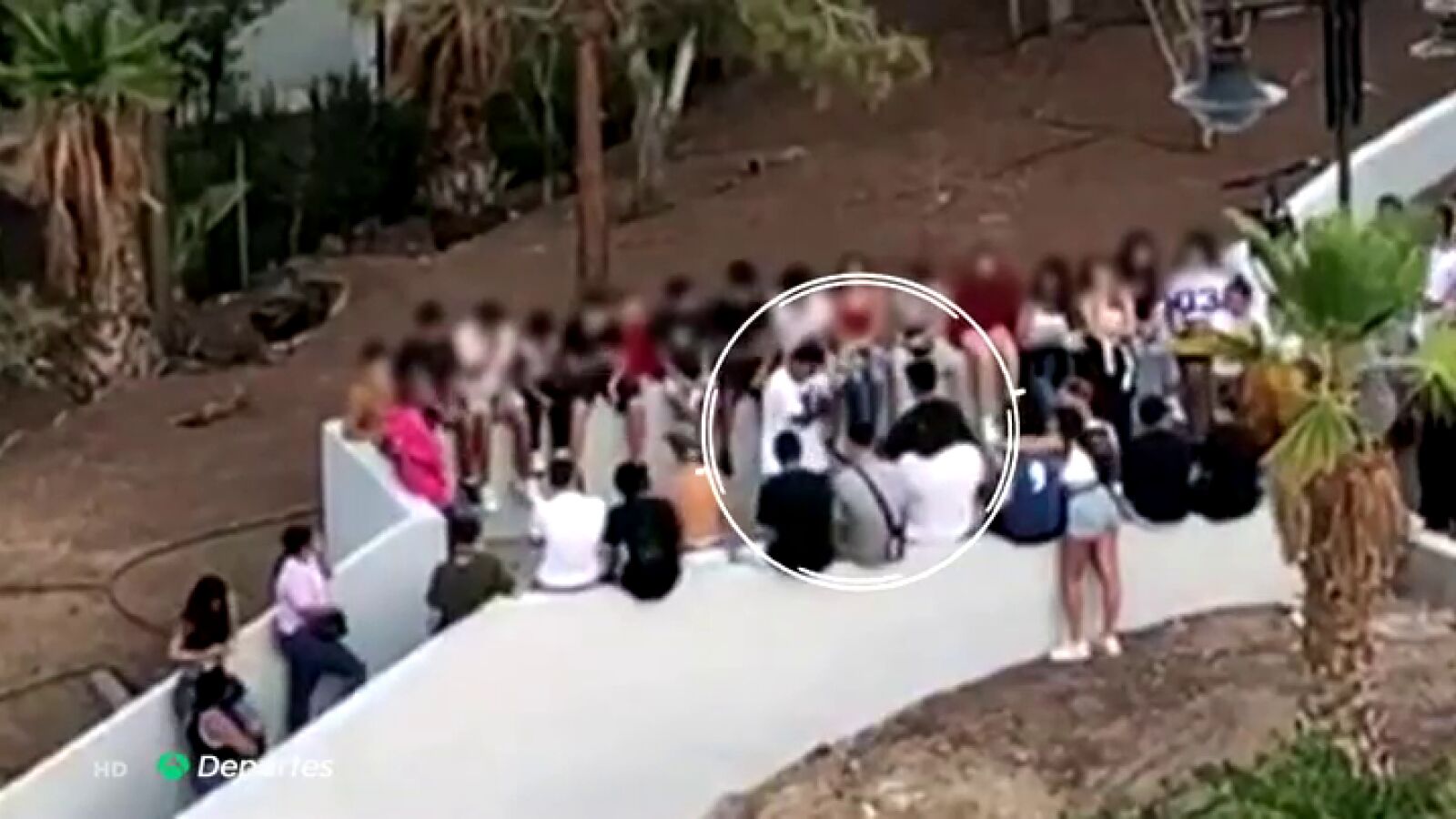 El preocupante combate de boxeo entre niños en un parque de Tenerife: 