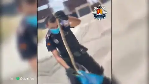 Temor entre ciclistas y runners por la aparición de serpientes en Arroyomolinos Temor entre ciclistas y runners por la aparición de serpientes en Arroyomolinos