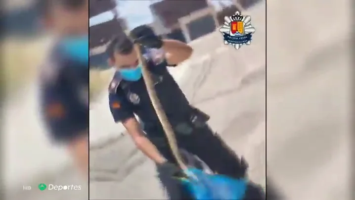 Temor entre ciclistas y runners por la aparici&oacute;n de serpientes en Arroyomolinos