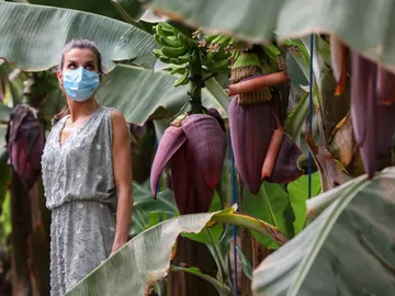 La reina Letizia en Tenerife La reina Letizia en Tenerife