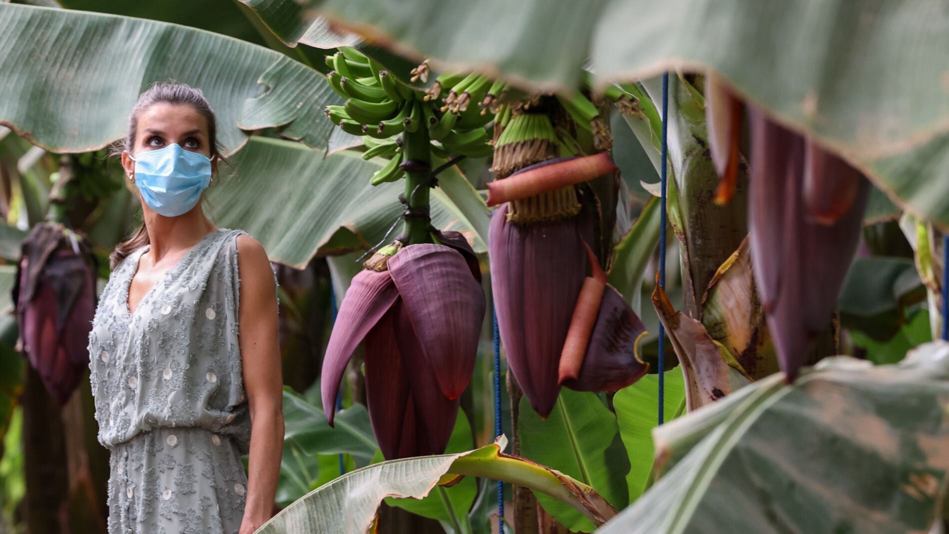 La reina Letizia en Tenerife
