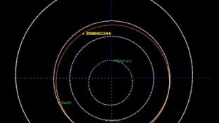 La &oacute;rbita del asteroide 2000 SG344