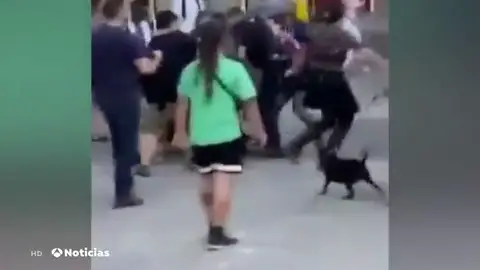 Un grupo de personas se abalanza contra la Policía en Lavapiés Un grupo de personas se abalanza contra la Policía en Lavapiés