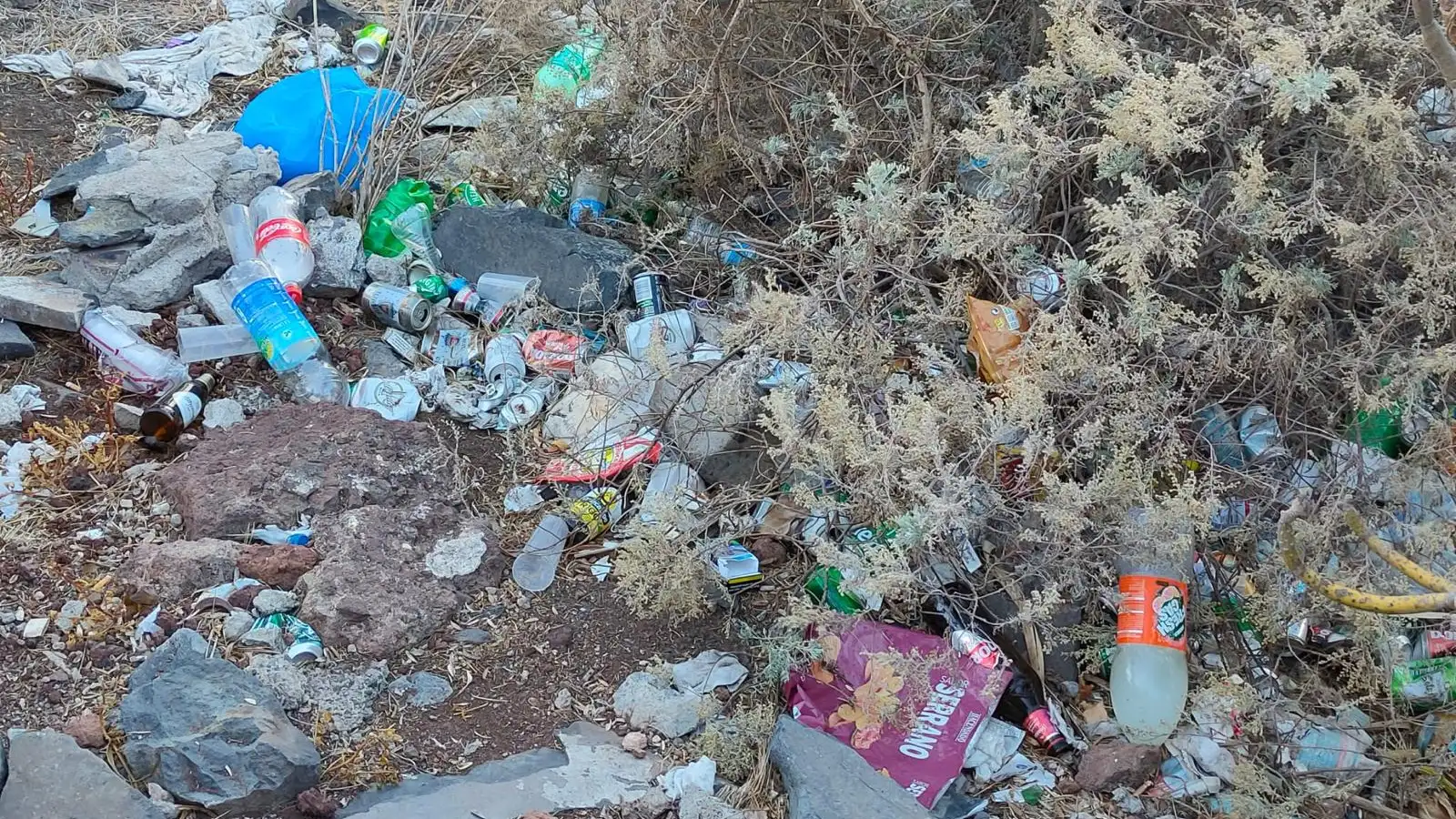 Coronavirus. Sancionados por botell&oacute;n en Santa Cruz de Tenerife. 