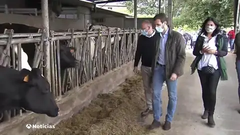Pablo Casado dice que Pedro Sánchez solo va a Galicia a "insultar" porque está "enfadado" Pablo Casado dice que Pedro Sánchez solo va a Galicia a "insultar" porque está "enfadado"