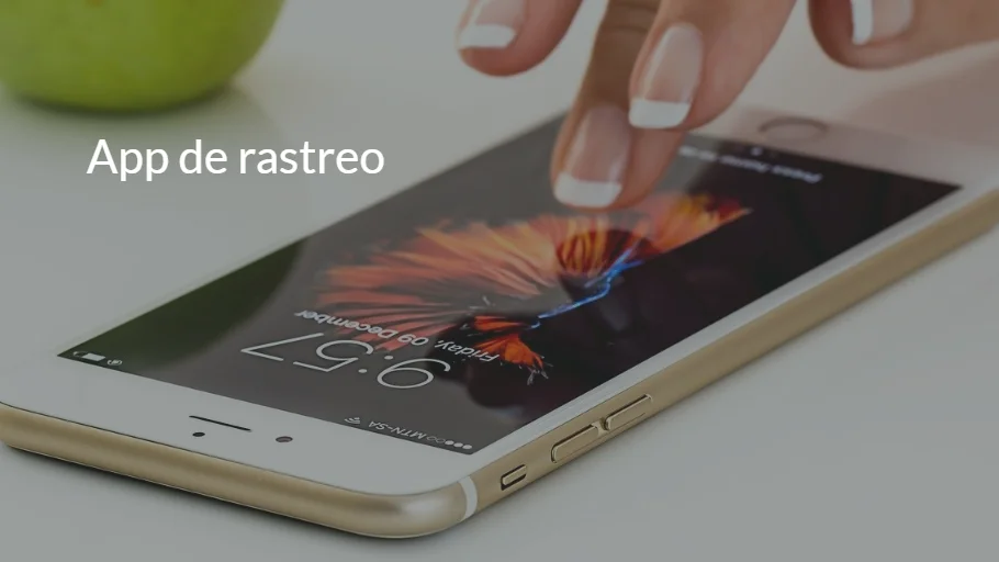 Piloto en La Gomera de la App de rastreo en rebrotes de coronavirus Piloto en La Gomera de la App de rastreo en rebrotes de coronavirus