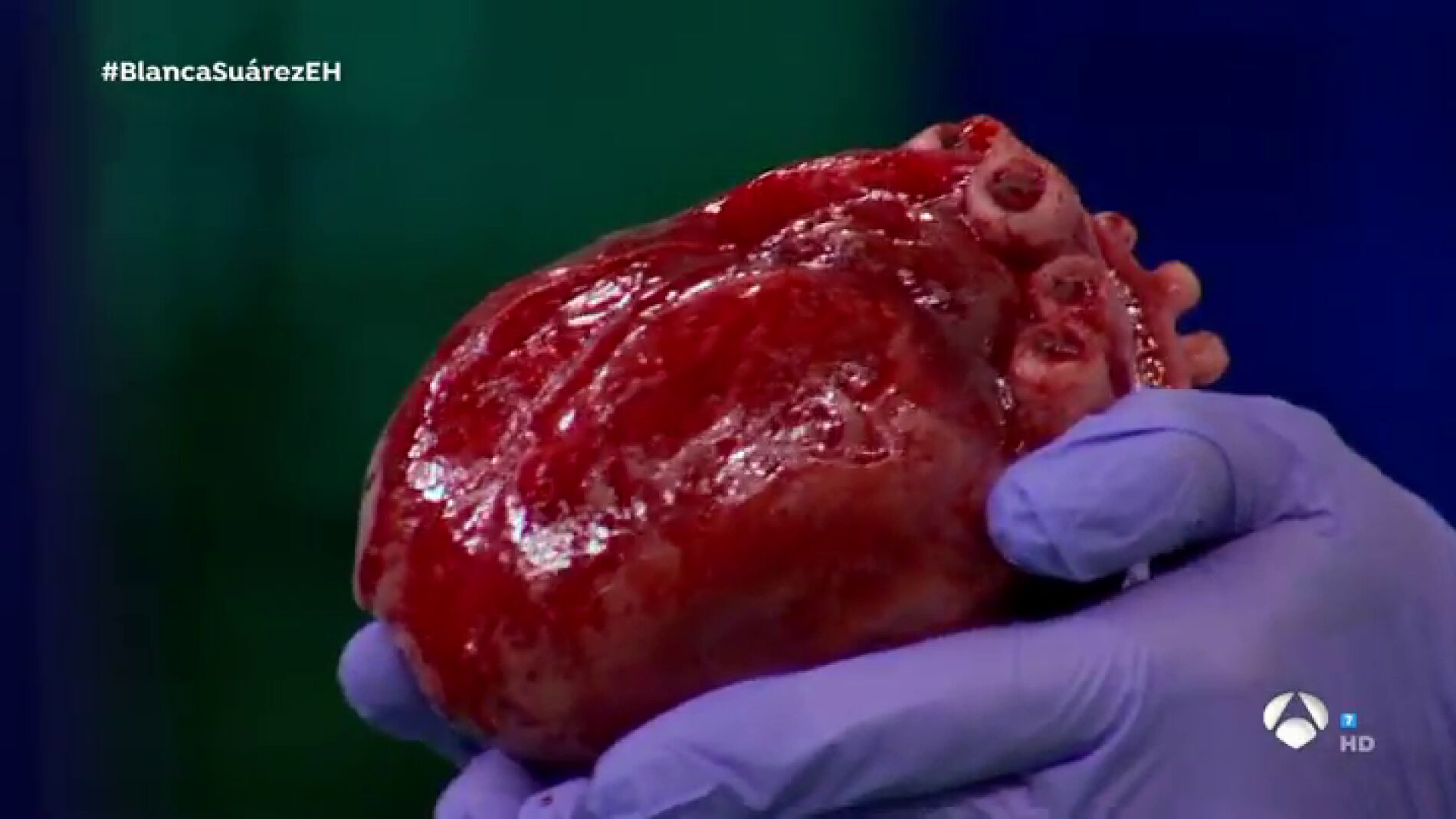 Marron, con el coraz&oacute;n en la mano: revive uno de los experimentos m&aacute;s fascinantes de 'El Hormiguero 3.0'
