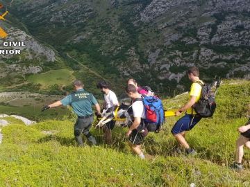  La Guardia Civil rescata a Gretel, una perra herido en el pico Espigüete en Palencia