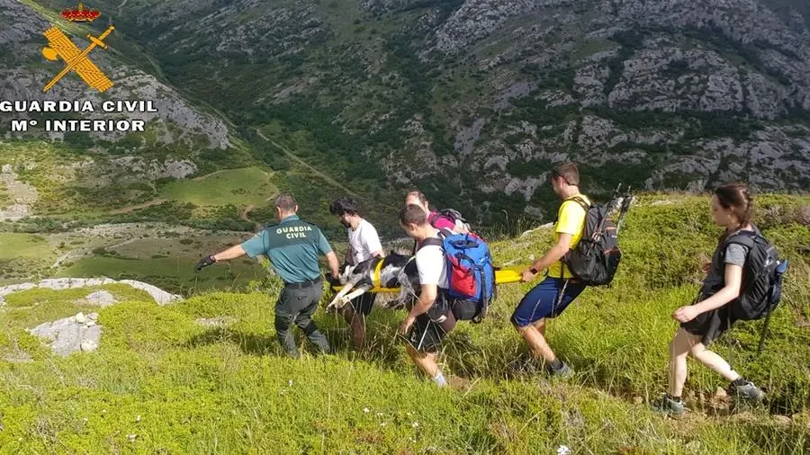 La Guardia Civil rescata a Gretel, una perra herido en el pico Espigüete en Palencia La Guardia Civil rescata a Gretel, una perra herido en el pico Espigüete en Palencia