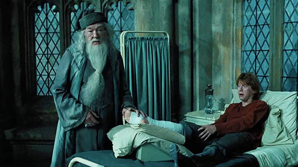 Dumbledore y Ron, mano a mano Dumbledore y Ron, mano a mano