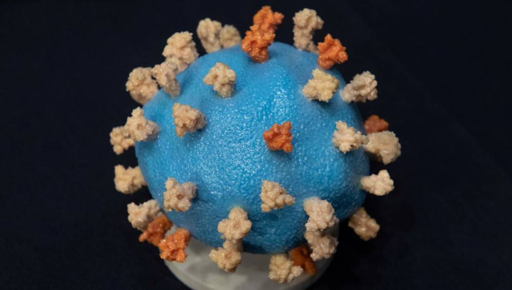 Nueva cepa de coronavirus 