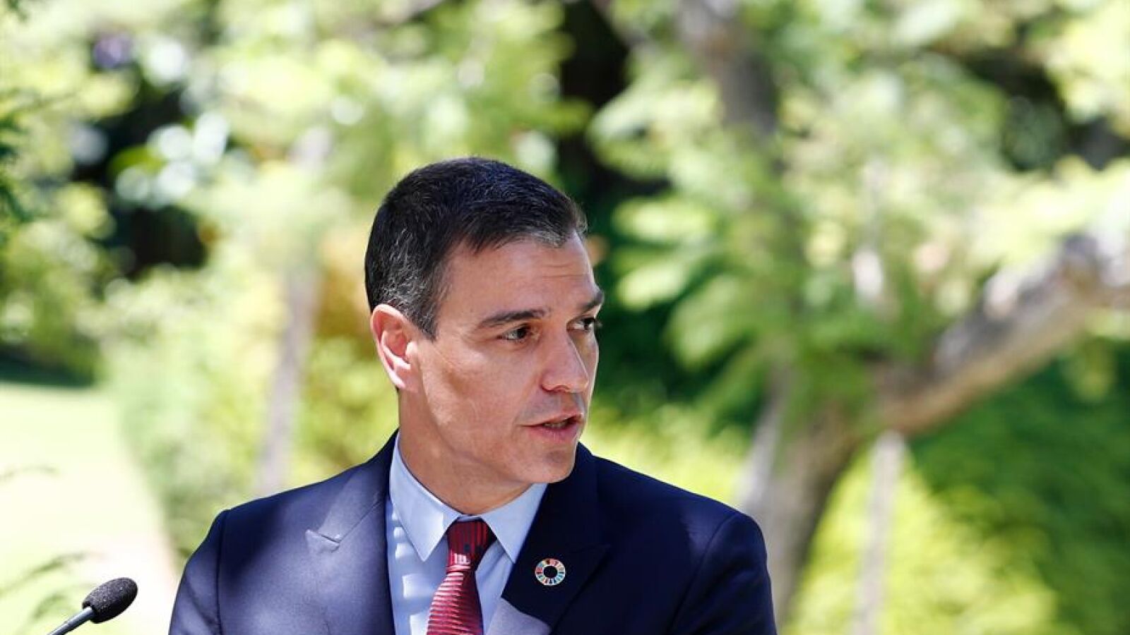 Pedro Sánchez es partidario de limitar el aforamiento del rey al ejercicio de sus funciones
