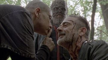 'The Walking Dead'