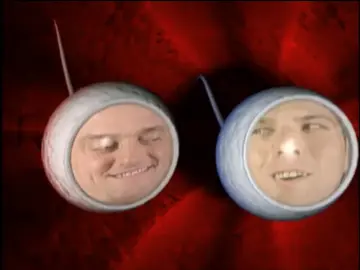 Imagen de 'Compañeros' Imagen de 'Compañeros'