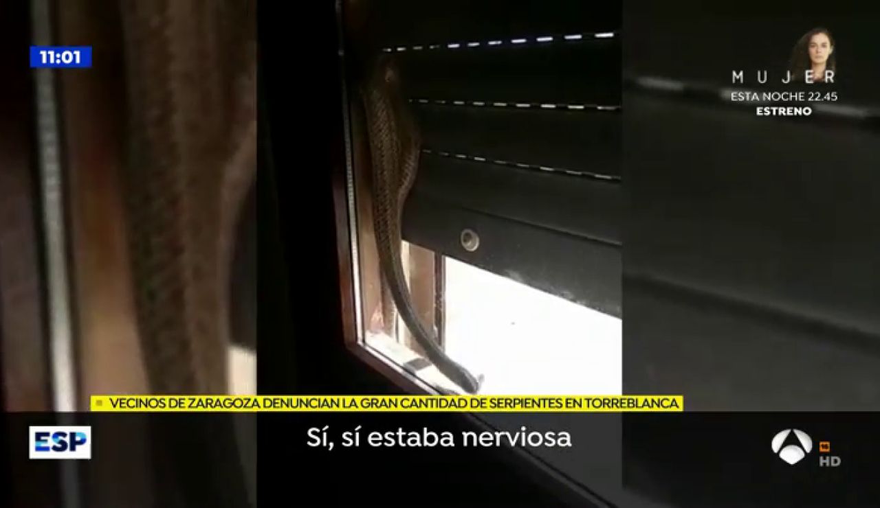 serpiente serpiente
