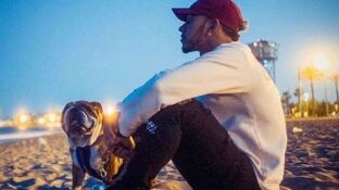  Lewis Hamilton desvela que ha hecho vegano a su perro Roscoe y desata la ira de las redes sociales 