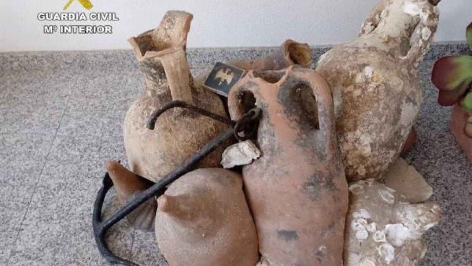 Recuperan 13 ánforas romanas del S.I que estaban decorando una tienda de pescado congelado en Santa Pola (Alicante)